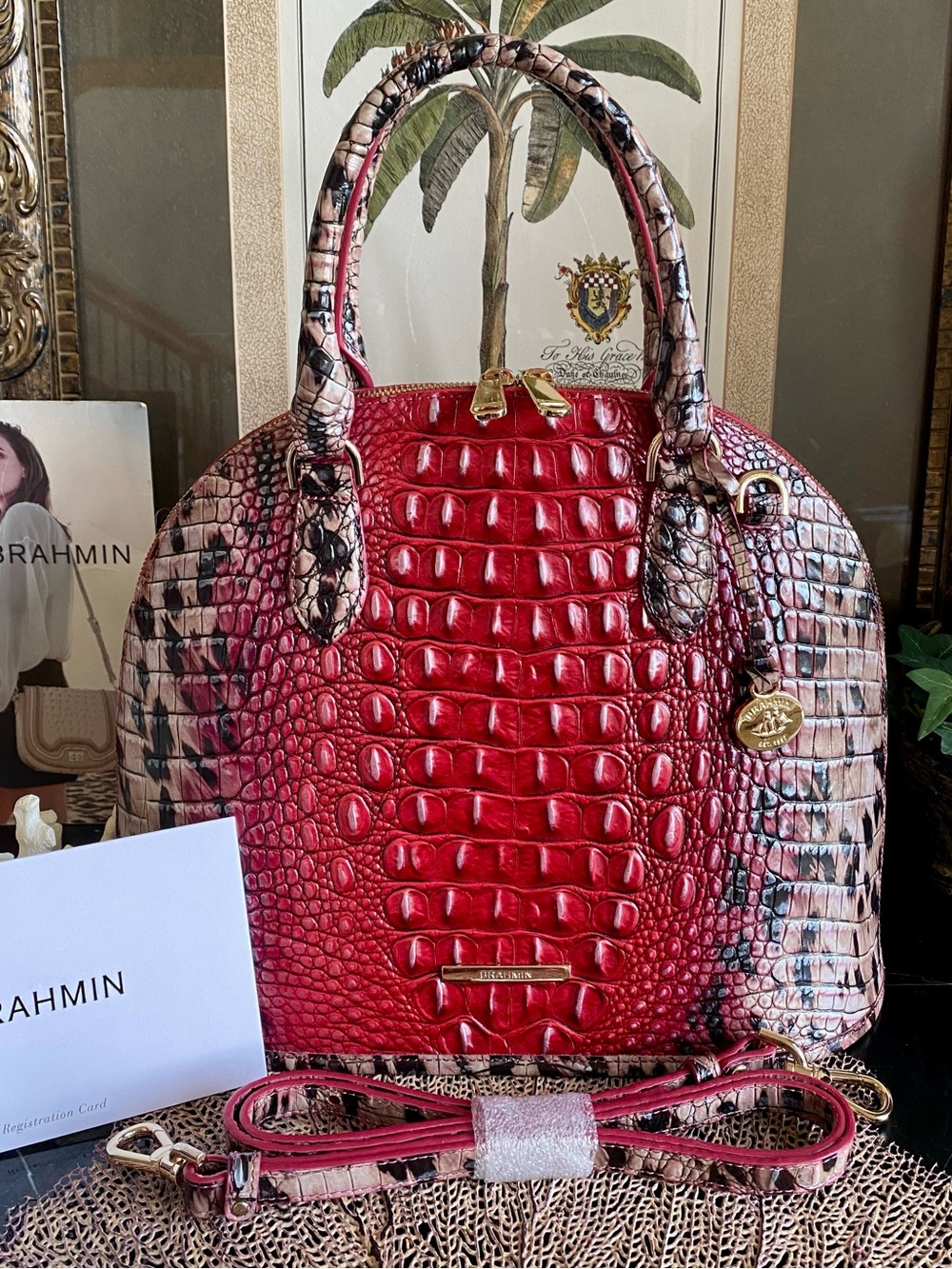 ♥️🐾Brahmin RUBY PROWL OMBRE Dome Satchel - Picture 14 of 14